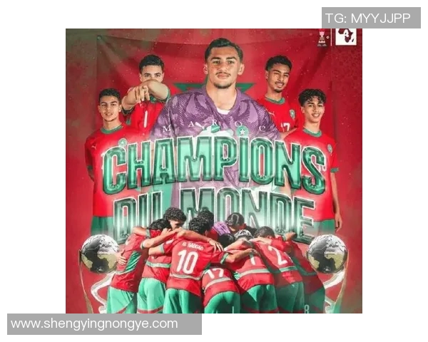 摩洛哥现役足球球星的崛起与影响力分析 摩洛哥现役足球球星的崛起与影响力分析