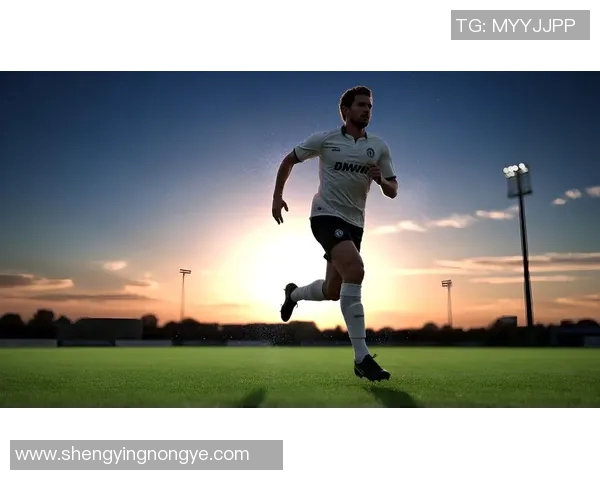 2008年世界足球巨星风采回顾与绿茵场巅峰瞬间 2008年世界足球巨星风采回顾与绿茵场巅峰瞬间