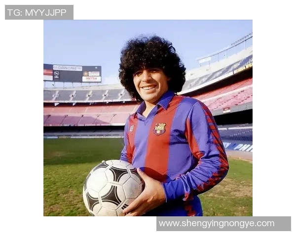 全球足球之星:哪个洲的球员在世界足坛更具影响力 全球足球之星:哪个洲的球员在世界足坛更具影响力