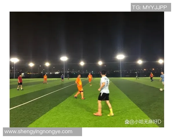 日本最佳足球球星闪耀绿茵场引领团队勇攀世界巅峰 日本最佳足球球星闪耀绿茵场引领团队勇攀世界巅峰