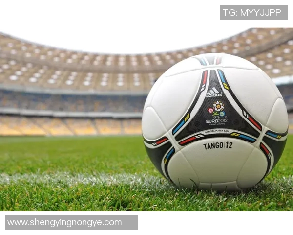 欧洲杯足球球星卡手雷盒限量版揭秘 完美收藏与竞技精神的结合 欧洲杯足球球星卡手雷盒限量版揭秘 完美收藏与竞技精神的结合