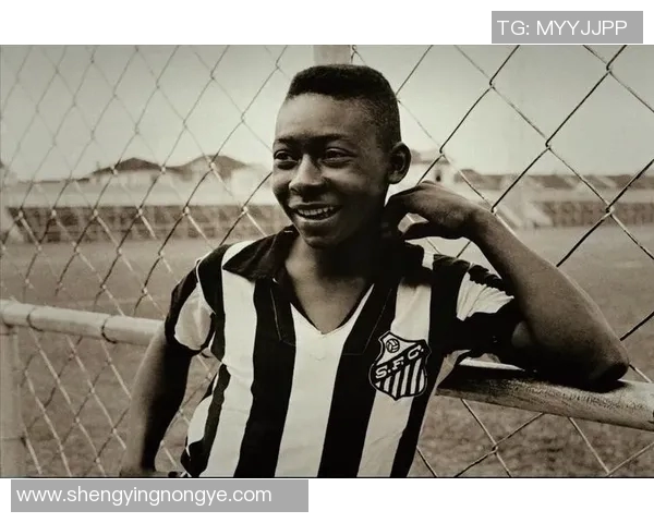 俄罗斯足球传奇球星盘点及其在世界足坛的影响力 俄罗斯足球传奇球星盘点及其在世界足坛的影响力