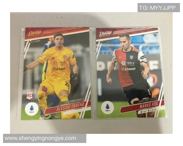 卡帕尼尼足球C罗单张球星卡珍藏版价值分析与市场趋势解析 卡帕尼尼足球C罗单张球星卡珍藏版价值分析与市场趋势解析