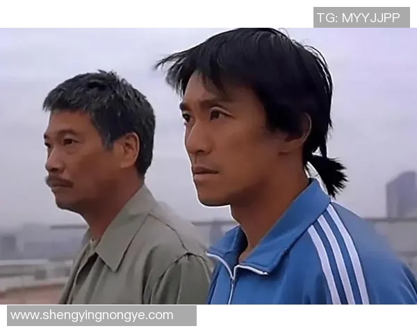 少林足球星爷与达叔幽默对话揭秘幕后趣事与经典台词