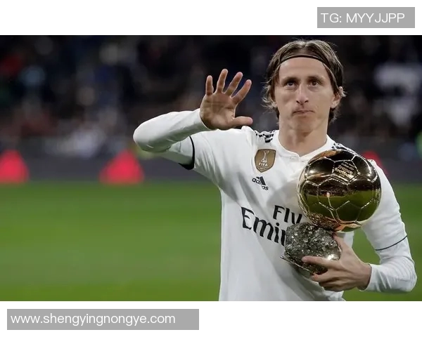 法国球星视角下对世界足球运动员的精彩评价与独到见解 法国球星视角下对世界足球运动员的精彩评价与独到见解