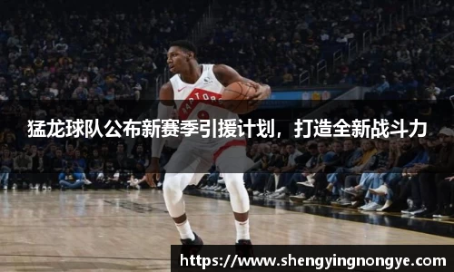 猛龙球队公布新赛季引援计划，打造全新战斗力