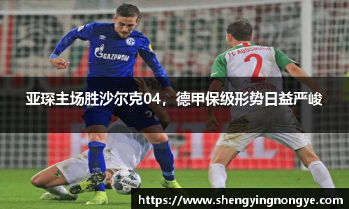 亚琛主场胜沙尔克04，德甲保级形势日益严峻