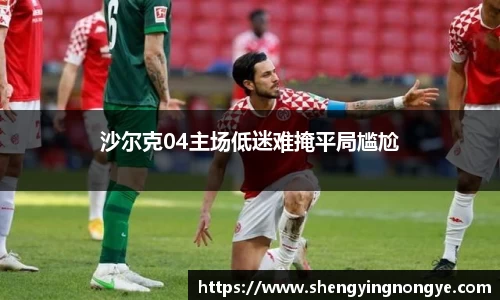沙尔克04主场低迷难掩平局尴尬