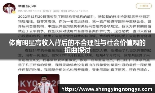 体育明星高收入背后的不合理性与社会价值观的扭曲探讨