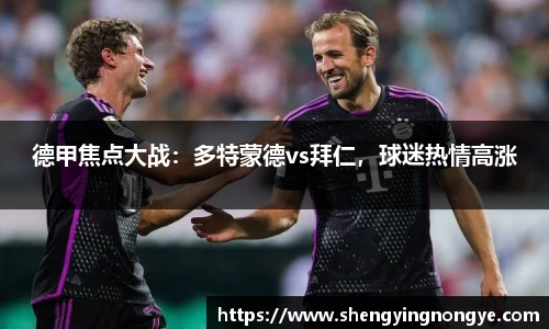 德甲焦点大战：多特蒙德vs拜仁，球迷热情高涨