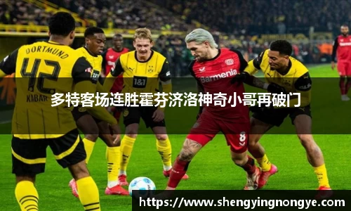 星空.综合体育(中国)官方网站
