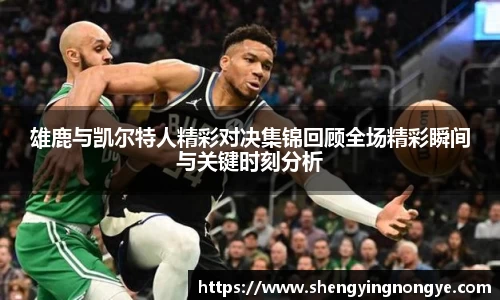 雄鹿与凯尔特人精彩对决集锦回顾全场精彩瞬间与关键时刻分析