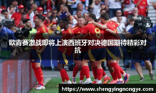 星空综合(中国)官方网站