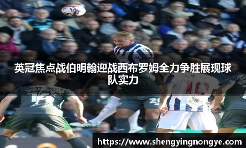 星空.综合体育官网