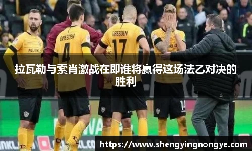 星空.综合体育(中国)官方网站